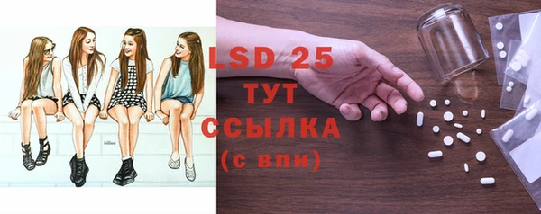 индика Абинск
