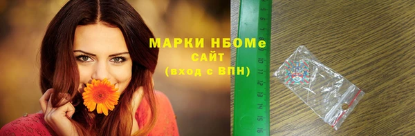 индика Абинск