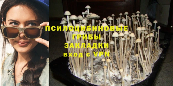 круглые Абаза