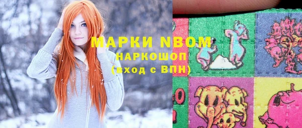 индика Абинск