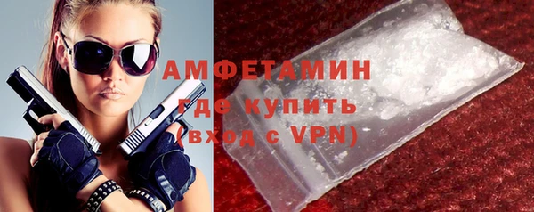 индика Абинск
