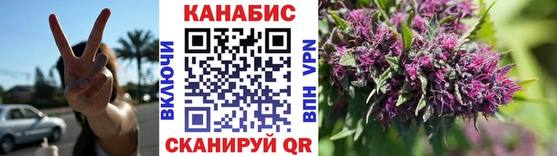 Бошки марихуана план  Моршанск 